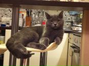 Фотография Лобовой Дарьи