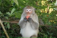 Фотография Стаднего Виталия