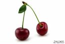 Cherry * фотография #2 (источник - https://vk.com/id148930137)