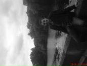 Андрій Стефанюк фотография #40 (источник - https://vk.com/id13519574)