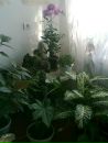 Таня Куліш фотография #35 (источник - https://vk.com/id135272329)
