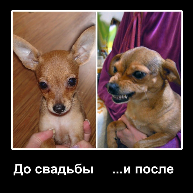 Тимур Лихачёв фотография #23