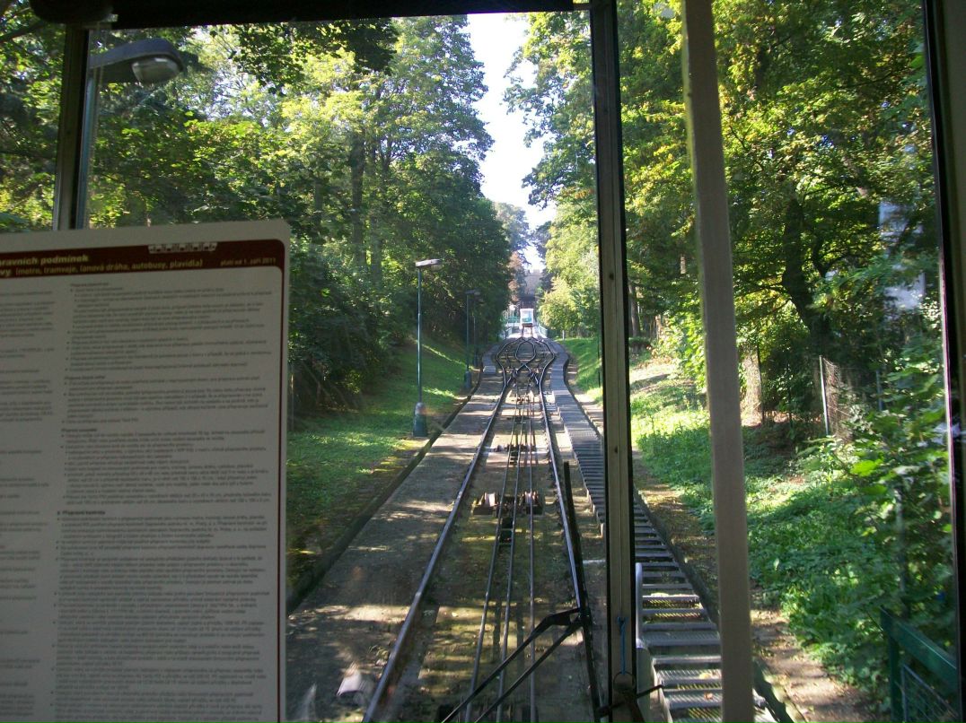 Дмитрий Яковлев фотография #32