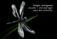 Влад Миро фотография #30 (источник - https://vk.com/id289989)