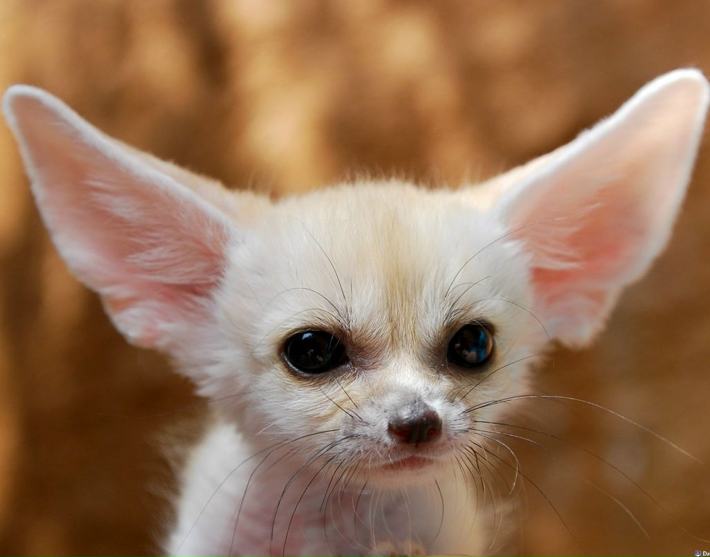 Дмитрий Бист фотография #19