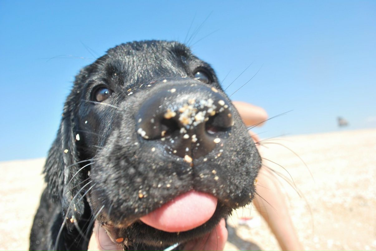 Рэй Венед фотография #13