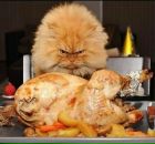 Фотография Валишиной Екатерины