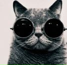 Фотография Болдина Антонио