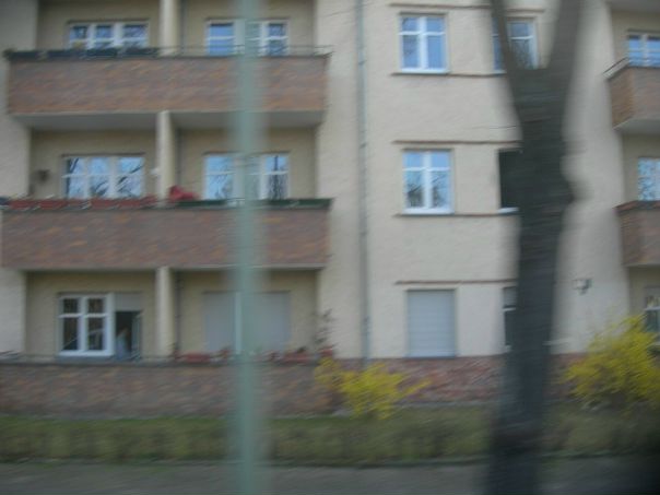 Тимур Буранбаев фото №12