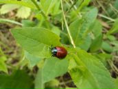 Фотография Шестаковой Светы