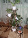 Ігор Новосад фотография #12 (источник - https://vk.com/id139259110)