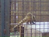 Богдан Бабій фотография #11 (источник - https://vk.com/id148346253)