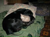 Ігор Горобець фотография #36 (источник - https://vk.com/id27928803)