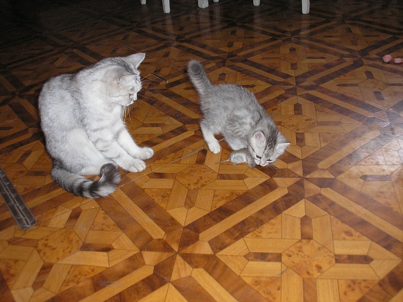 Игорь Баляев фотография #11