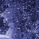 Жанна Щічко фотография #28 (источник - https://vk.com/id133268671)