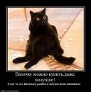 Ігорь Урванець фотография #32 (источник - https://vk.com/id128159472)