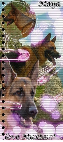 Майя Беляева фотография #2