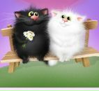 Фотография Ой Кумуш