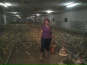 Марія Сидор фотография #14 (источник - https://vk.com/id55163246)