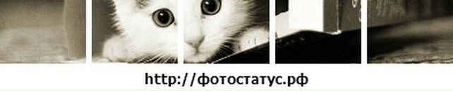 Наталя Андрієнко фотография #21 (источник - https://vk.com/id43275798)