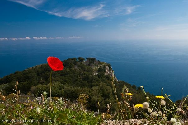 Дмитрий Павлов фото №15