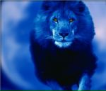 Фотография Игнатьевой Ирины