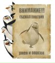 Фотография Поле Карена