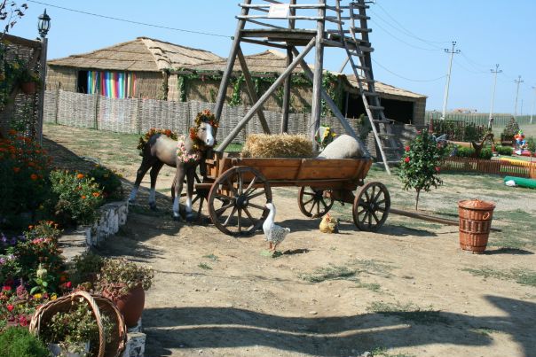 Сергей Бабенко фото №9