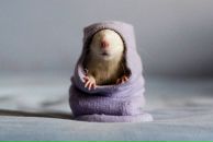 Фотография Гайдашовой Тани