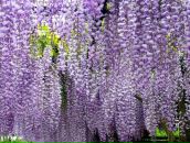 Фотография Бондаренко Оксаны