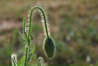 Юрій Дацько фотография #25 (источник - https://vk.com/id9641386)