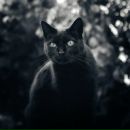 Фотография Кессо Александры