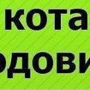 Андрій Жукровський фотография #36 (источник - https://vk.com/id132250559)
