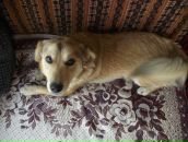 Андрій Зінченко фотография #44 (источник - https://vk.com/id40899488)