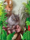 Богданка Піскун фотография #42 (источник - https://vk.com/id150329966)