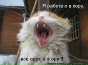 Фотография Баташовой Людмилы