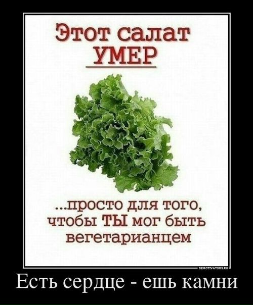 Сергей Бехкер фото №27