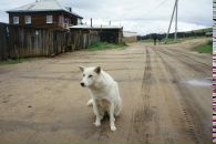 Фотография Котова Сергея