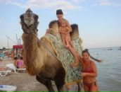 Віта Черниш фотография #47 (источник - https://vk.com/id53878650)