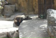 Фотография Мехтиева Руслана