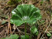 Фотография Клюкиной Светланы