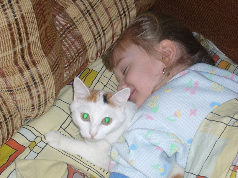 Дмитрий Коростелёв фотография #42