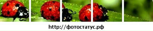 Саша Кізун фотография #10 (источник - https://vk.com/id33023355)