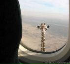 Юра Лісіцин фотография #50 (источник - https://vk.com/id71792248)