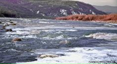 Діма Москалюк фотография #18 (источник - https://vk.com/id36768324)