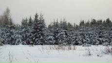 Сергей Новков фотография #49 (источник - https://vk.com/id390969)