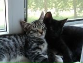 Фотография Мудрой Анастасии