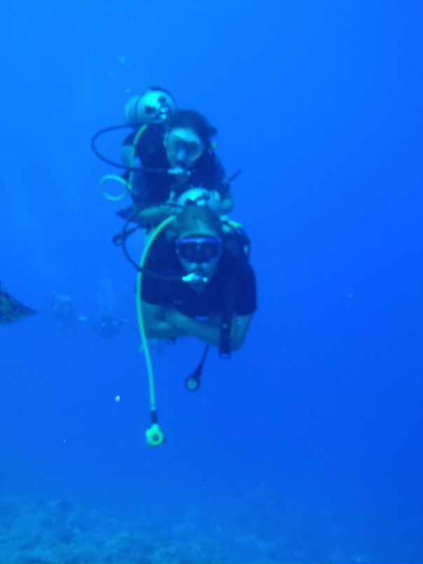 Vit Mi фотография #10