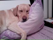 Фотография Жигановой Виктории