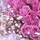 Валентина Ілащук фотография #20 (источник - https://vk.com/id62162814)